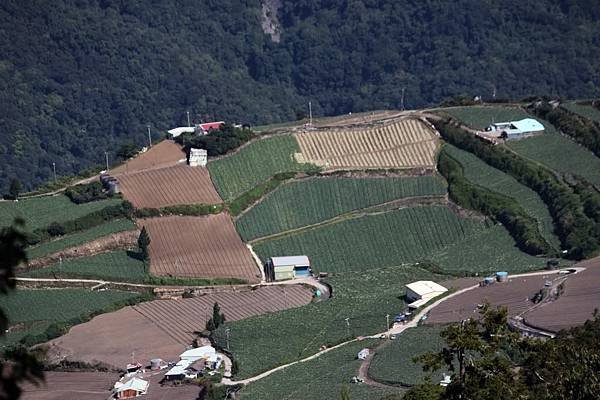 合歡溪步道2.jpg