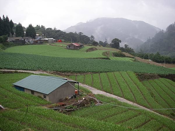 合歡溪步道22.jpg