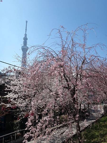 牛島神社10.JPG