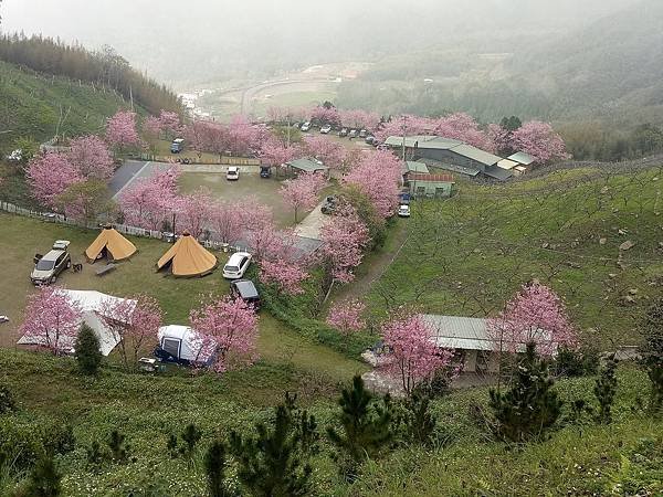 八五山甜柿森林露營區2.jpg