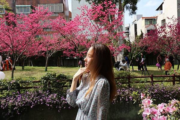 莒光公園賞櫻6.JPG
