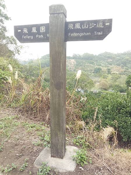 中坑山17.jpg