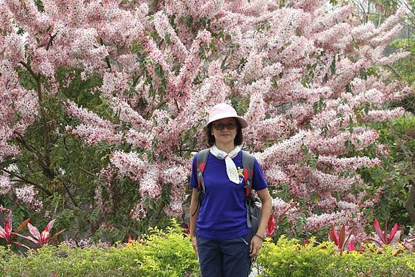 竹崎公園6.JPG