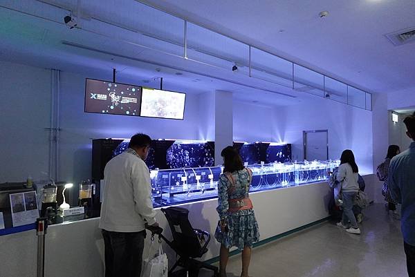 【桃園景點】Xpark水族館，桃園置地廣場 親子旅遊 小孩最