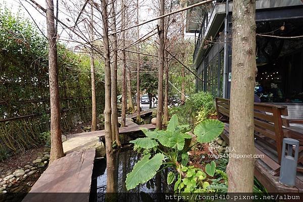 【大坑景觀餐廳】享自在。園區內有四家餐廳，澄石享自在有落羽松