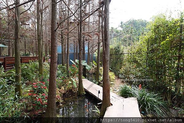 【大坑景觀餐廳】享自在。園區內有四家餐廳，澄石享自在有落羽松