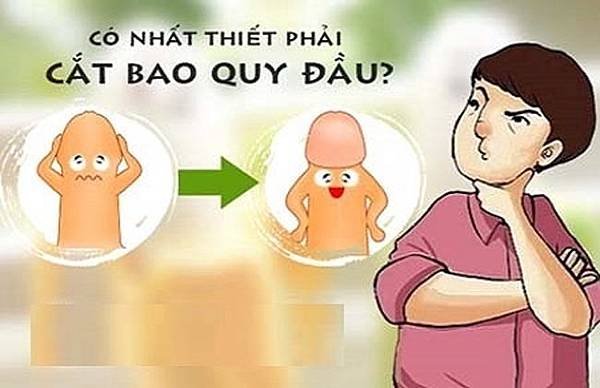 bao-quy-dau-dai-co-nhat-thiet-phai-cat.jpg