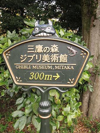IMG_7572