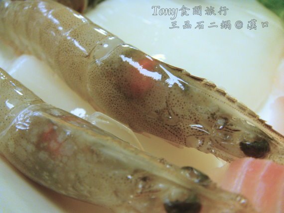 DSC08522.JPG