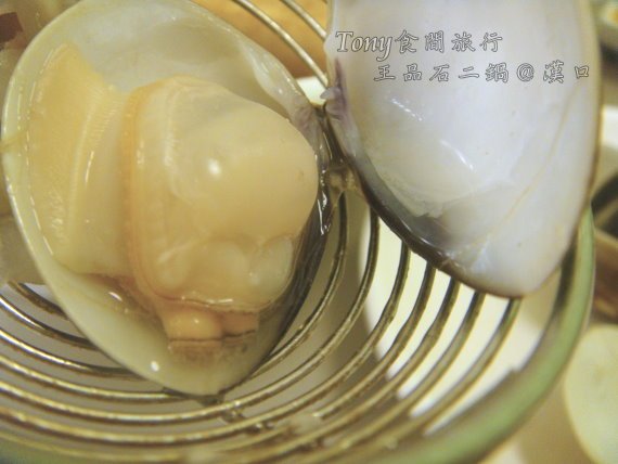 DSC08528.JPG