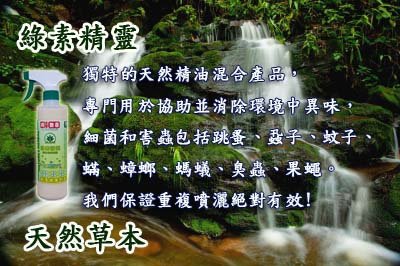 綠素精靈