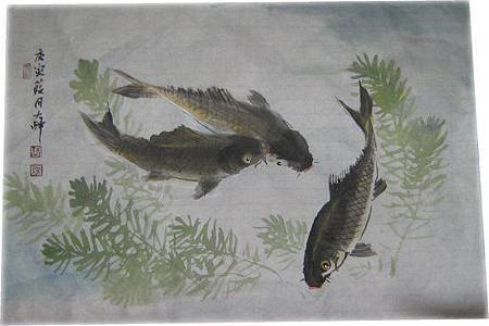 鯉魚4.jpg
