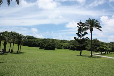 IMG_1937.jpg