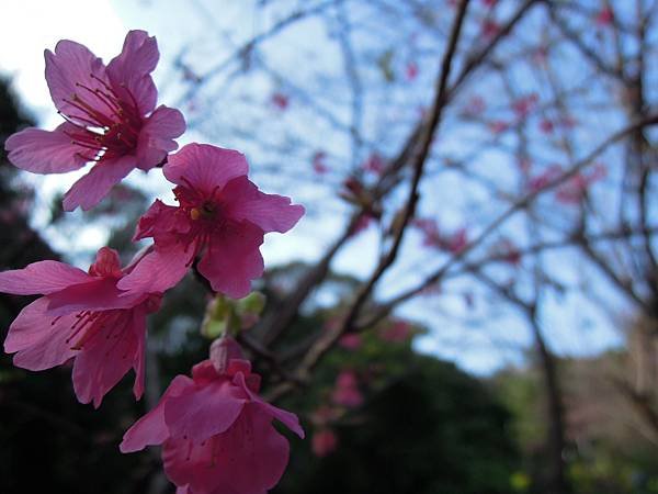 DSCN3969