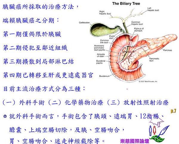 DING  DONG !  長保胰臟健康，OK!  p.7