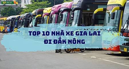 Khám Phá Top 10 Nhà Xe Uy Tín 