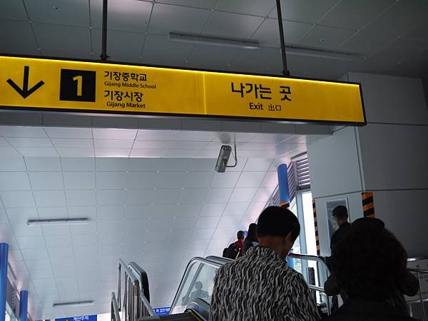 P1200974.JPG