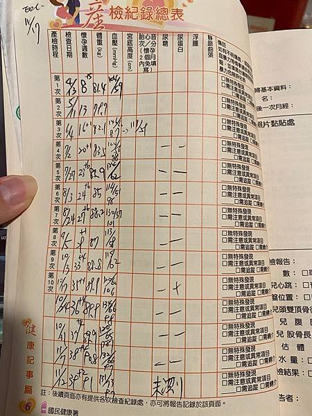 [紀錄] 男寶寶 懷孕40周這段日子  從受精卵著床-驗孕-