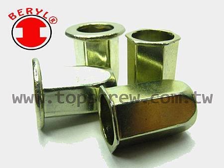 BLIND RIVET NUT-FHSM_FHSI_FHBM_FHBI SERIES-topscrew.jpg