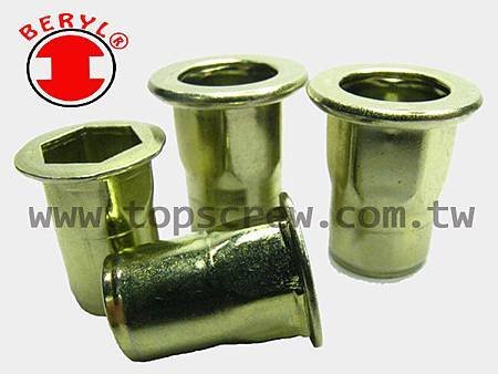 BLIND RIVET NUT-HBM_HBI_AHBM_AHBI SERIES-topscrew.jpg