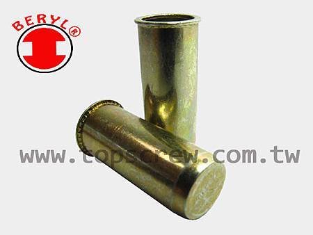 BLIND RIVET NUT-SAM-C_SAI-C SERIES-topscrew.jpg