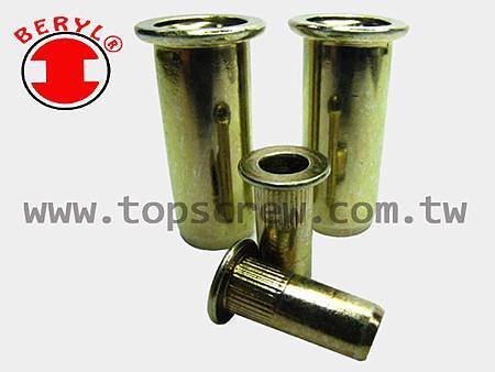 BLIND RIVET NUT-BEM-C_BAI-C SERIES-topscrew.jpg