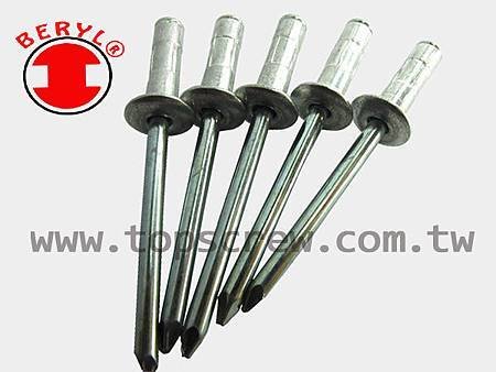 MULTI-GRIP BLIND RIVET-topscrew.jpg