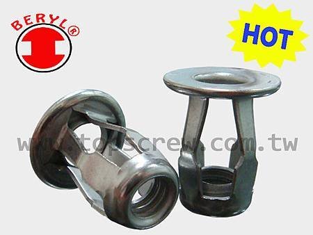 BLIND JACK NUT SERIES-SS-topscrew-HOT.jpg