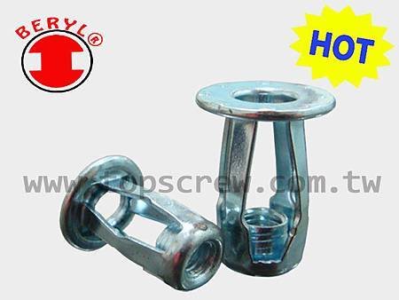 BLIND JACK NUT SERIES-STEEL-topscrew-HOT.jpg