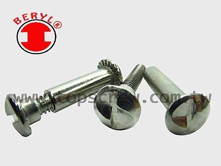 ONE WAY SERIES-1-topscrew.jpg