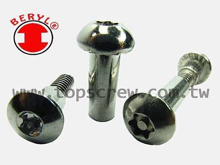 SIX LOBE SERIES-topscrew.jpg