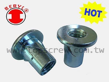 E SELF DRIVING NUT SERIES-topscrew-HOT.jpg