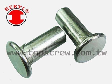 E SELF DRIVING NUT-2-topscrew.jpg