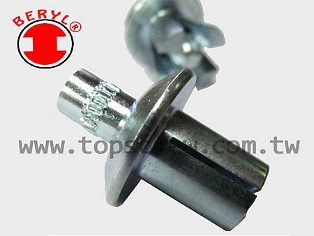 SPEED PIN RIVET-1-topscrew.jpg