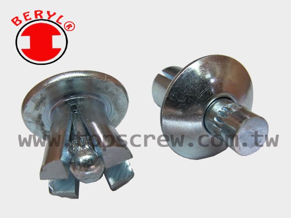 SPEED PIN RIVET-2-topscrew.jpg