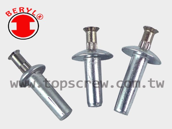 SPEED PIN RIVET-3-topscrew.jpg