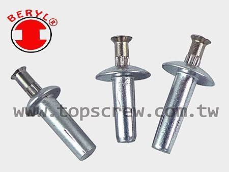 SPEED PIN RIVET-3-topscrew.jpg