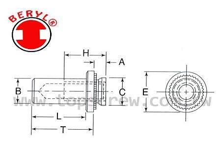 TSC8-DRAWING-topscrew.jpg