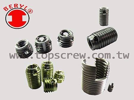 SELF TAPPING THREADED INSERT SERIES-1-topscrew.jpg