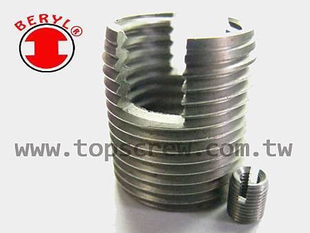 SELF TAPPING - SLOTTED SERIES-topscrew.jpg