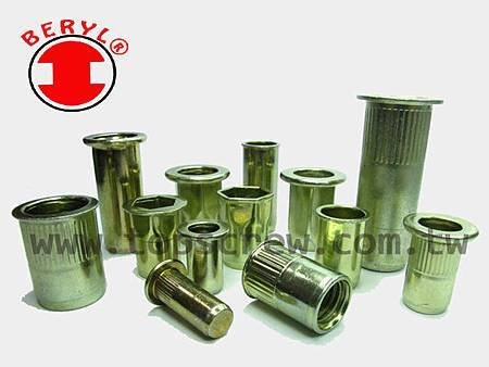 BLIND RIVET NUT SERIES-1-topscrew.jpg