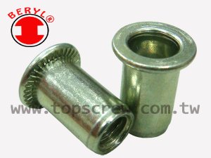 BLIND RIVET NUT-BEM SERIES-topscrew.jpg