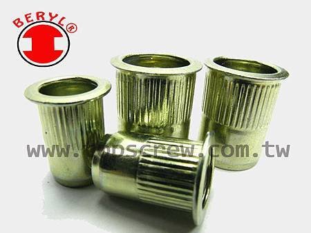 BLIND RIVET NUT-TSSS_TSBS SERIES-topscrew.jpg