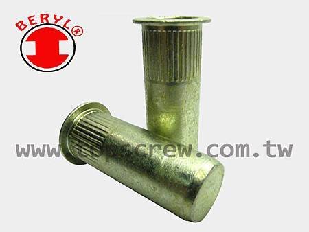 BLIND RIVET NUT-TSBS-C SERIES-topscrew.jpg