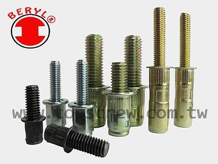 BOLT RIVET NUT SERIES -topscrew.jpg