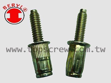 BOLT RIVET NUT-3-topscrew.jpg