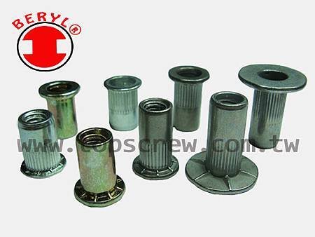 SPECIAL BLIND RIVET NUT SERIES-topscrew.jpg