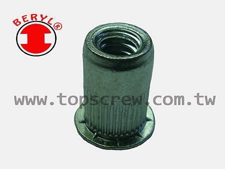 SPECIAL BLIND RIVET NUT SERIES-4-topscrew.jpg