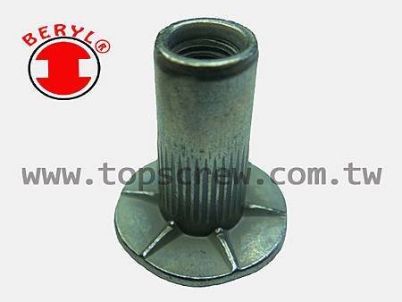 SPECIAL BLIND RIVET NUT SERIES-6-topscrew.jpg