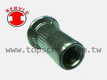 SPECIAL BLIND RIVET NUT SERIES-10-topscrew.jpg